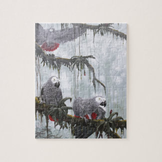 Quebra-cabeça O cinza africano repete mecanicamente o voo livre