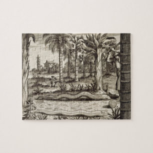 Quebra-cabeça O cobra de pedra, de "China ilustrou" por Athan