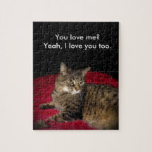 O gato da estrada 655