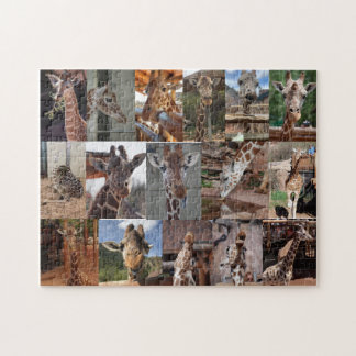 Quebra-cabeça O Herd