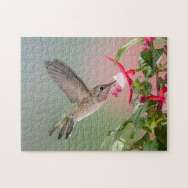 Quebra-cabeça O Hummingbird de Anna