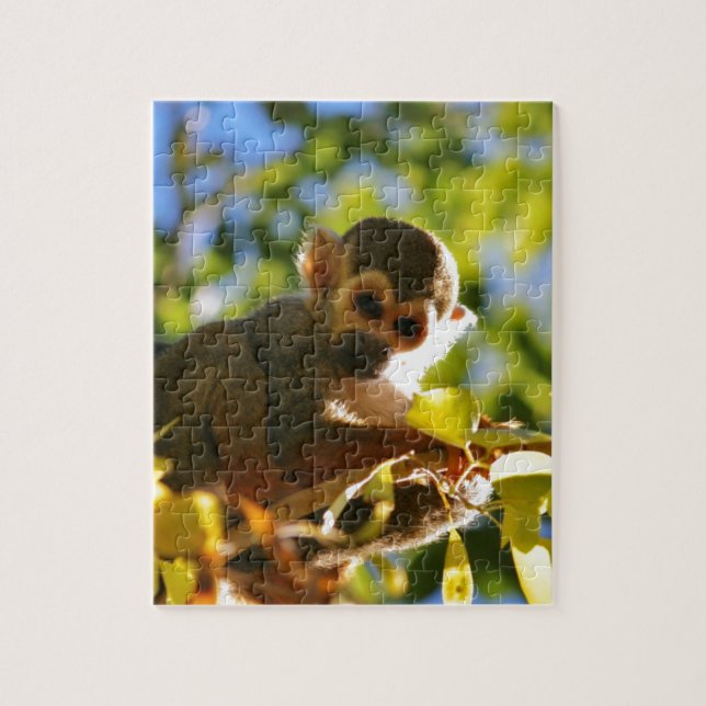 Quebra-cabeça O macaco brilha (Vertical)