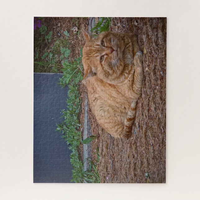 Quebra-cabeça O Mestre do Caminho Ensolarado (Vertical)