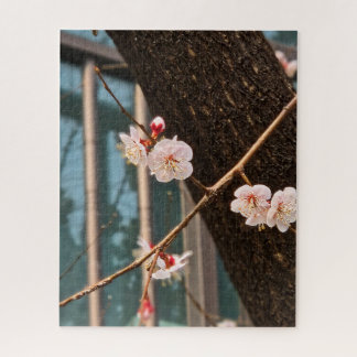 Quebra-cabeça O Nobre Chamado da Primavera Coreana