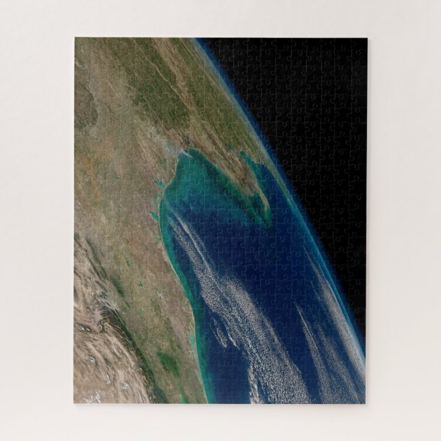 Quebra-cabeça O Norte Golfo Do México. (Vertical)