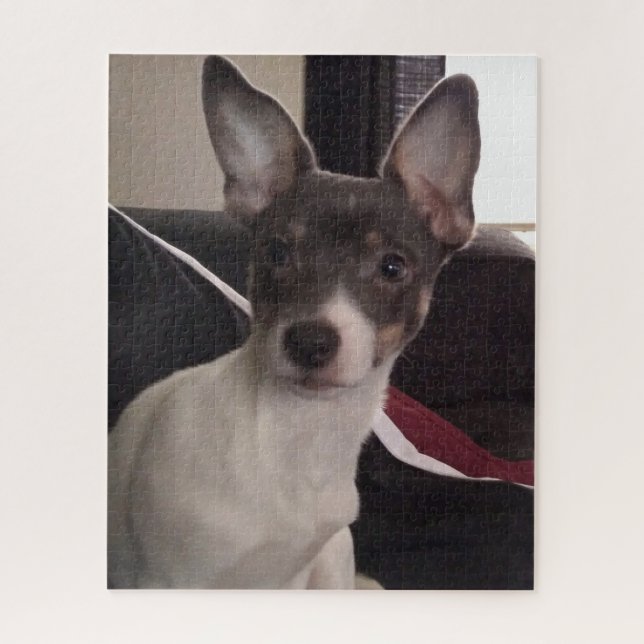 QUEBRA-CABEÇA O PEQUENO CÃO CHIHUAHUA (Vertical)