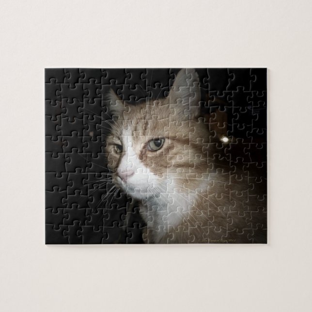 Quebra-cabeça O que ele está pensando? (Horizontal)