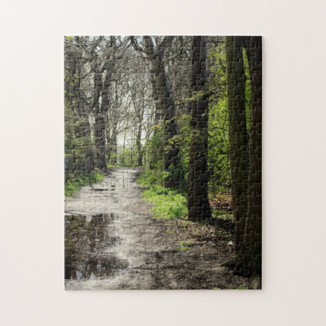 Quebra-cabeça O trajeto molhado da poça da chuva no musgo cobriu (Vertical)