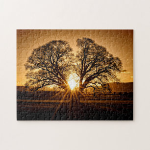 Quebra-cabeça O último Burst do Sunset - 11x14 - 252 pcs.
