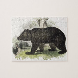 Quebra-cabeça O urso de Brown, bar educacional da ilustração.