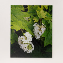 Quebra-cabeça Oakleaf Hydrangea