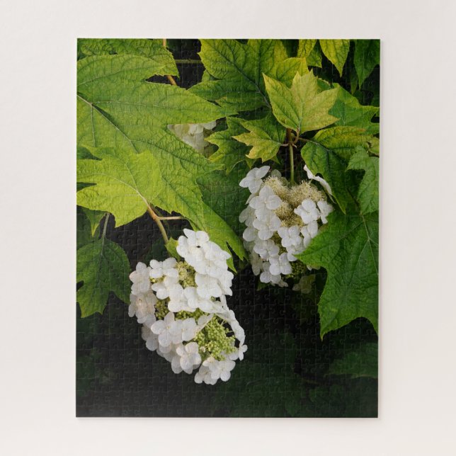 Quebra-cabeça Oakleaf Hydrangea (Vertical)
