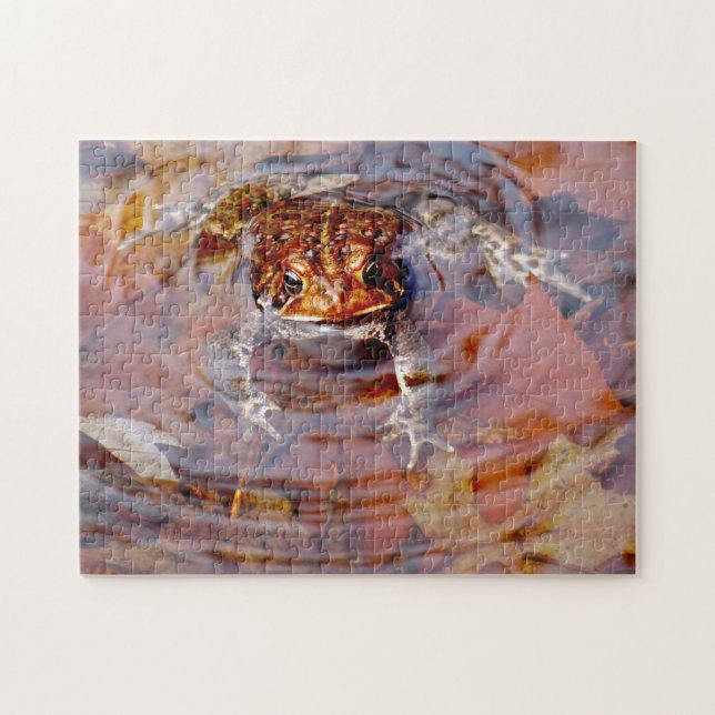 Quebra-cabeça Olá Amigo Toad (Horizontal)