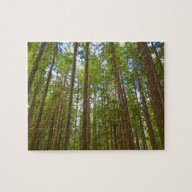 Quebra-cabeça Olhando para a Floresta Primária (Horizontal)