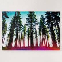 Olhando para uma Floresta de Árvores Altas com Ver