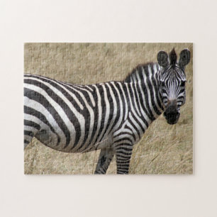 Quebra-cabeça olhar zebra