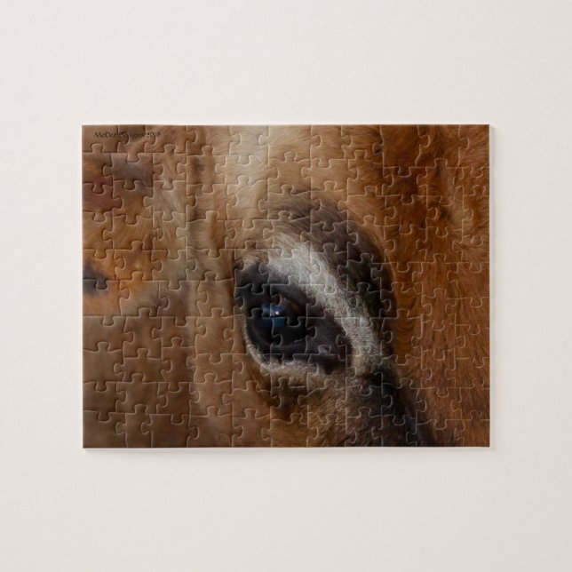 Quebra-cabeça Olho da vaca (Horizontal)