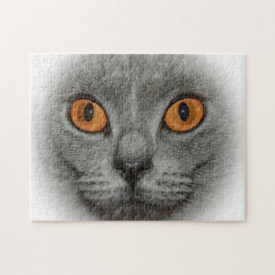 Quebra-cabeça Olhos de gato