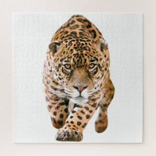 Quebra-cabeça Olhos Jaguar Especiais Exclusivos