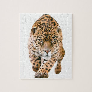 Quebra-cabeça Olhos Jaguar Especiais Exclusivos