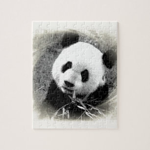 Quebra-cabeça Olhos Panda