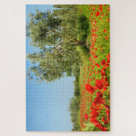 Quebra-cabeça Oliveira no campo da papoila no verão