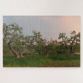 Quebra-cabeça Oliveira no pôr do sol