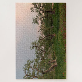 Quebra-cabeça Oliveira no pôr do sol