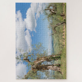 Quebra-cabeça Oliveiras velhas numa paisagem da Toscana