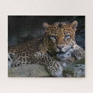 Quebra-cabeça Onça Pintada Animal Selvagem