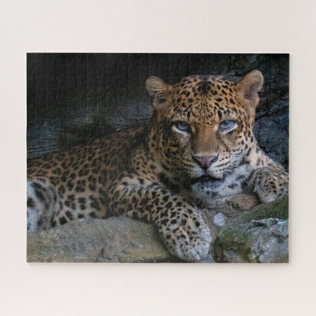 Quebra-cabeça Onça Pintada Animal Selvagem (Horizontal)