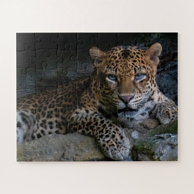Quebra-cabeça Onça Pintada Animal Selvagem (Horizontal)