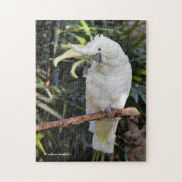 Quebra-cabeça Ondas de Cockatoo Penteadas com Enxofre no Fotógra