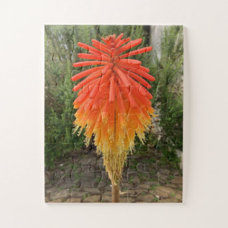 Quebra-cabeça Orange and Yellow Flower