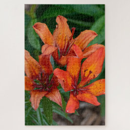 Quebra-cabeça Orange Daylily Canadian Flower Photoshop