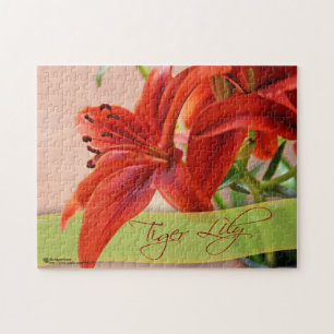 Quebra-cabeça Orange Tiger Lily Flowers Close e Typografia
