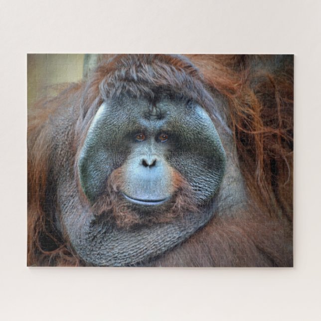 Quebra-cabeça Orangotango (Horizontal)