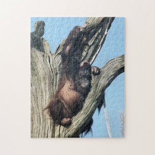 QUEBRA-CABEÇA ORANGUTANOS