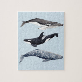 Quebra-cabeça Orca, ballena jorobada y ballena gris