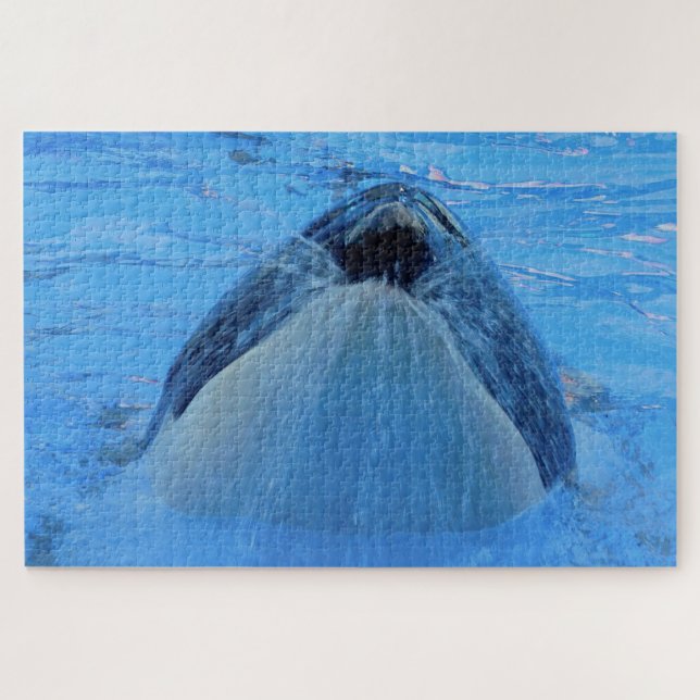 Quebra-cabeça Orca ou Baleia Assassina de Jigsaw (Horizontal)