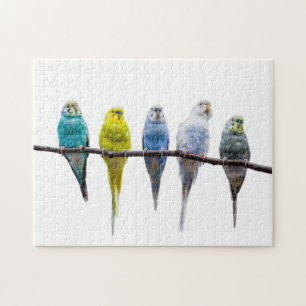 Quebra-cabeça Orçamentos