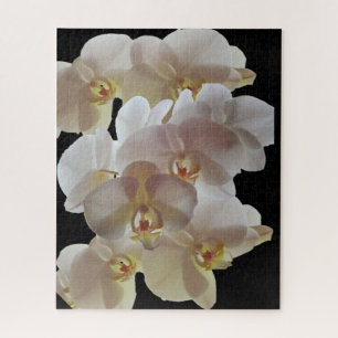QUEBRA-CABEÇA ORCHID BRANCO