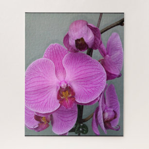 quebra-cabeça ORCHID PURPER