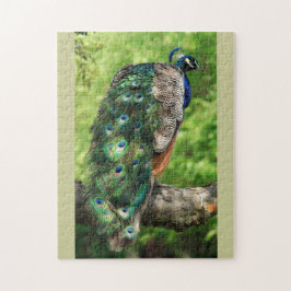 Quebra-cabeça Orgulhoso