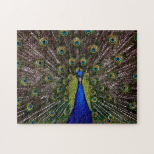 Quebra-cabeça orgulhoso da foto do pavão
