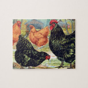 Quebra-cabeça "Orpingtons~Chicken "