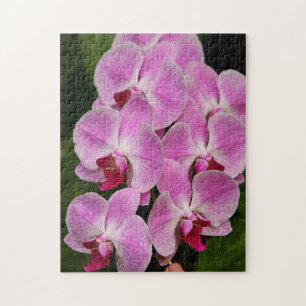 Quebra-cabeça - Orquídea