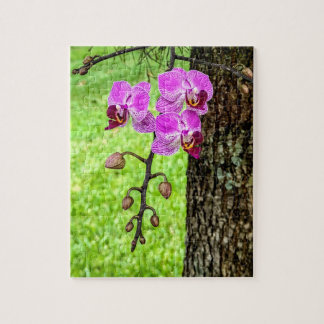 Quebra-cabeça Orquídea Árvore em Flor