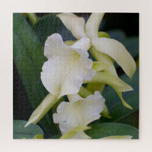 Quebra-cabeça Orquídea branca