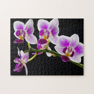 Quebra-cabeça Orquídea branca e roxa